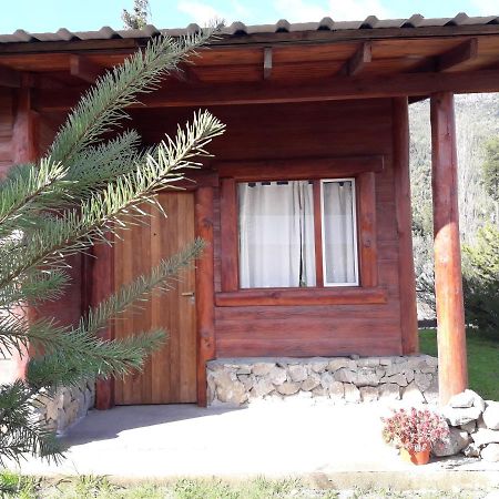El Jarillal Chalet de Montaña a pasos del lago Lago Puelo Exterior foto
